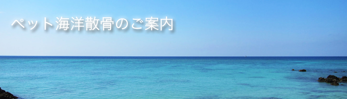 �y�b�g�U���g�b�v�C���[�W